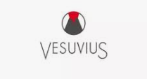 Vesuvius India Ltd